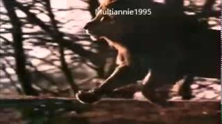 Pub pour les chocolats Lion de 1985 une barre pour rugir de plaisir