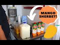 We Made A Wonderful Mango Sherbet with Our Electro Freeze B12V!
