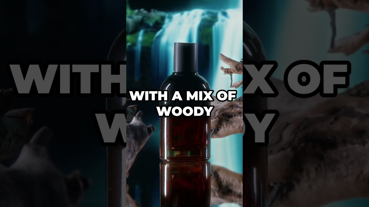 Top Nabeel Perfumes Worth Every Penny! 