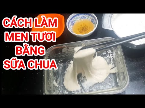 Video: Cách Nấu Bột Men Trong Sữa Chua
