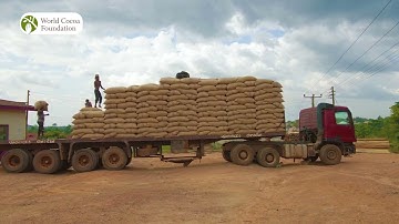 The Cocoa & Forests Initiative in Asunafo Asutifi, Ghana