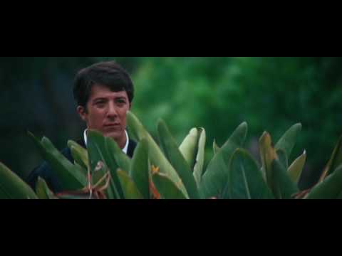 The Graduate Movie 1967