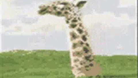 1 minute of wtf?!?!?!