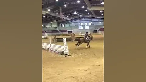 Casino Royal $2500 national hunter derby