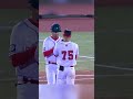 🇳🇱 Roger Bernadina declaring the outfield a no-fly zone during the WBSC Premier12 2019