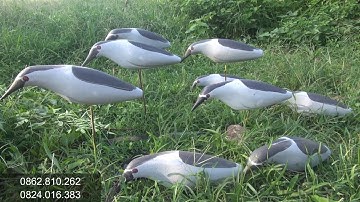 Vạc Xốp Hàng Chuẩn giá rẻ ( Anh em tham khảo )