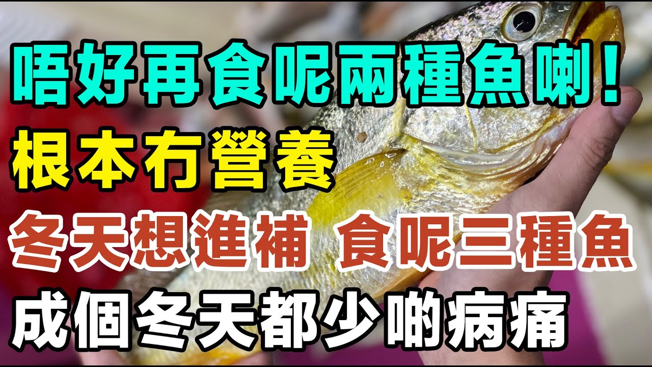 呢兩種魚唔好再食喇，冇乜營養㗎，想大補身子，食呢三種魚，可以提高抵抗力，冬天就無咁易病！#黃花魚 #DHA #提升免疫力 #蛋白質 #清蒸石斑 #家常便飯 #煮食心得 #魚生 #刺身 #點樣煮魚先好食