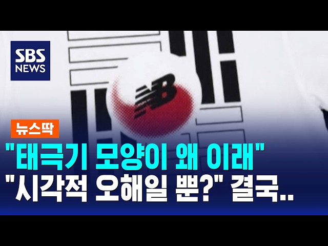 "태극기 모양이 왜 이래?".."시각적 오해일 뿐?" 결국 / 뉴스딱 / SBS 모닝와이드 2부