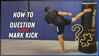 How To Question Mark Kick | Taekwondo for MMA Tutorial