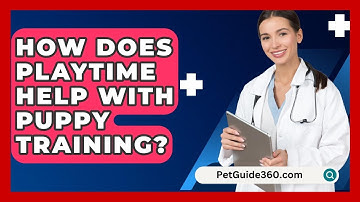 How Does Playtime Help With Puppy Training? - PetGuide360.com