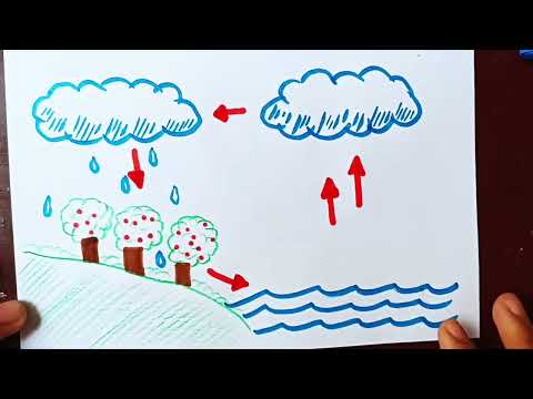Como desenhar o Ciclo da Água passo a passo | ler a descrição