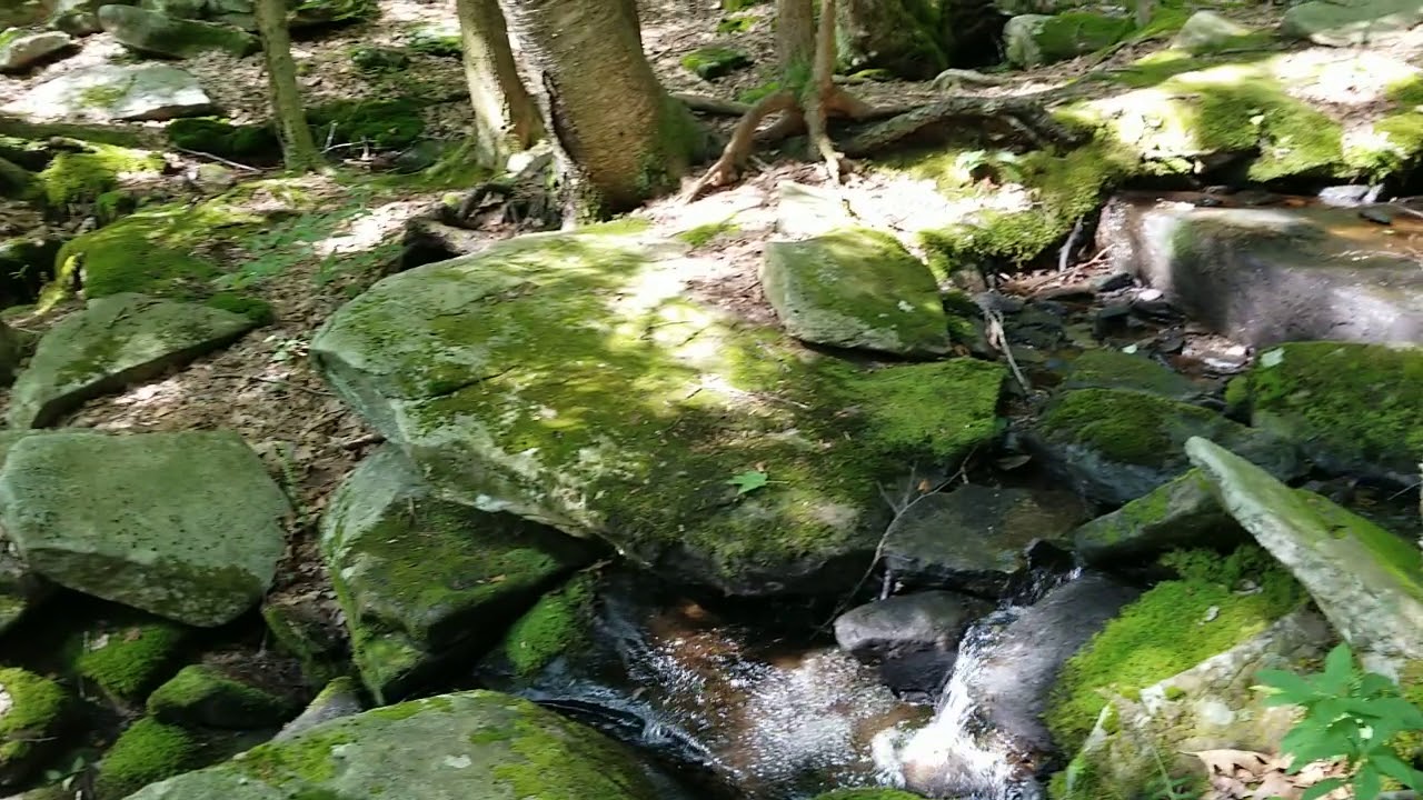 New England Trail Rattlesnake Mountain MA YouTube