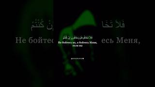 Сура 3 Аль-Имран (Семейство Имрана) Аят 175 #quran #напоминание #reminder #duet #видео #recitation