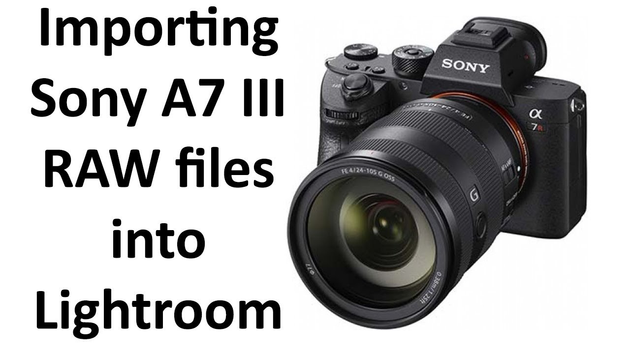 Importing Sony A7 Iii Raw Files Into Lightroom For The First Time -  Technpix - Youtube