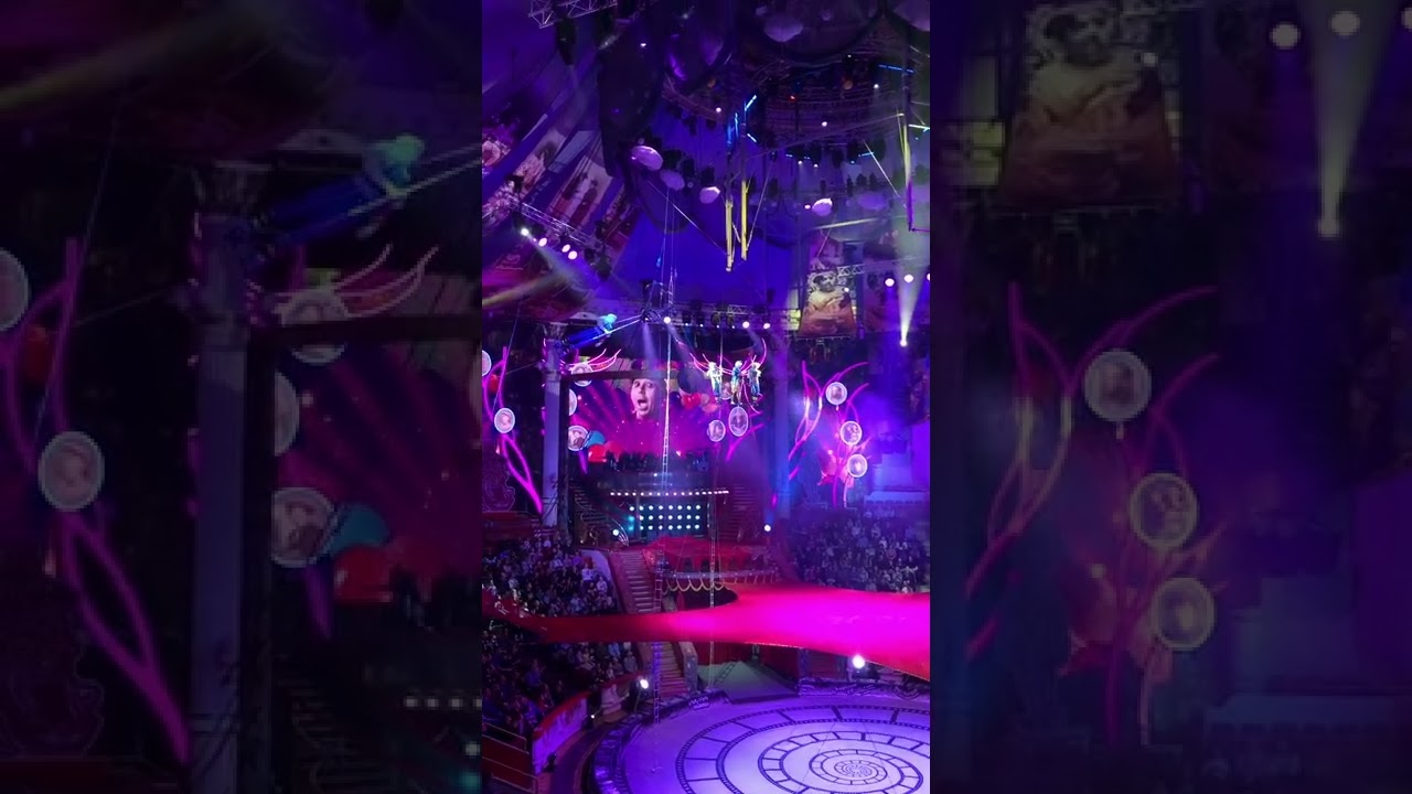 Amazing Circus Stunts 