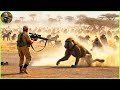 How do hunters and farmers deal with millions of invasive baboon and monkey by guns and bows