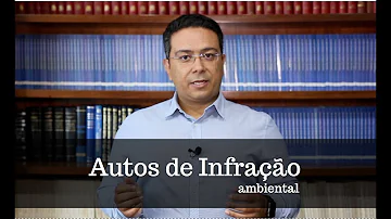 Como consultar um auto de infração ambiental?