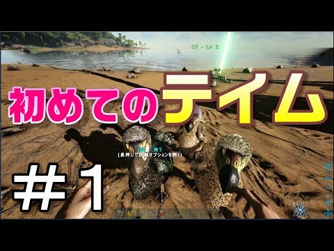 ブロントサウルスのプラットフォームサドル使って遊んでみた 素人ark Survival Evolved実況 ４３ Youtube