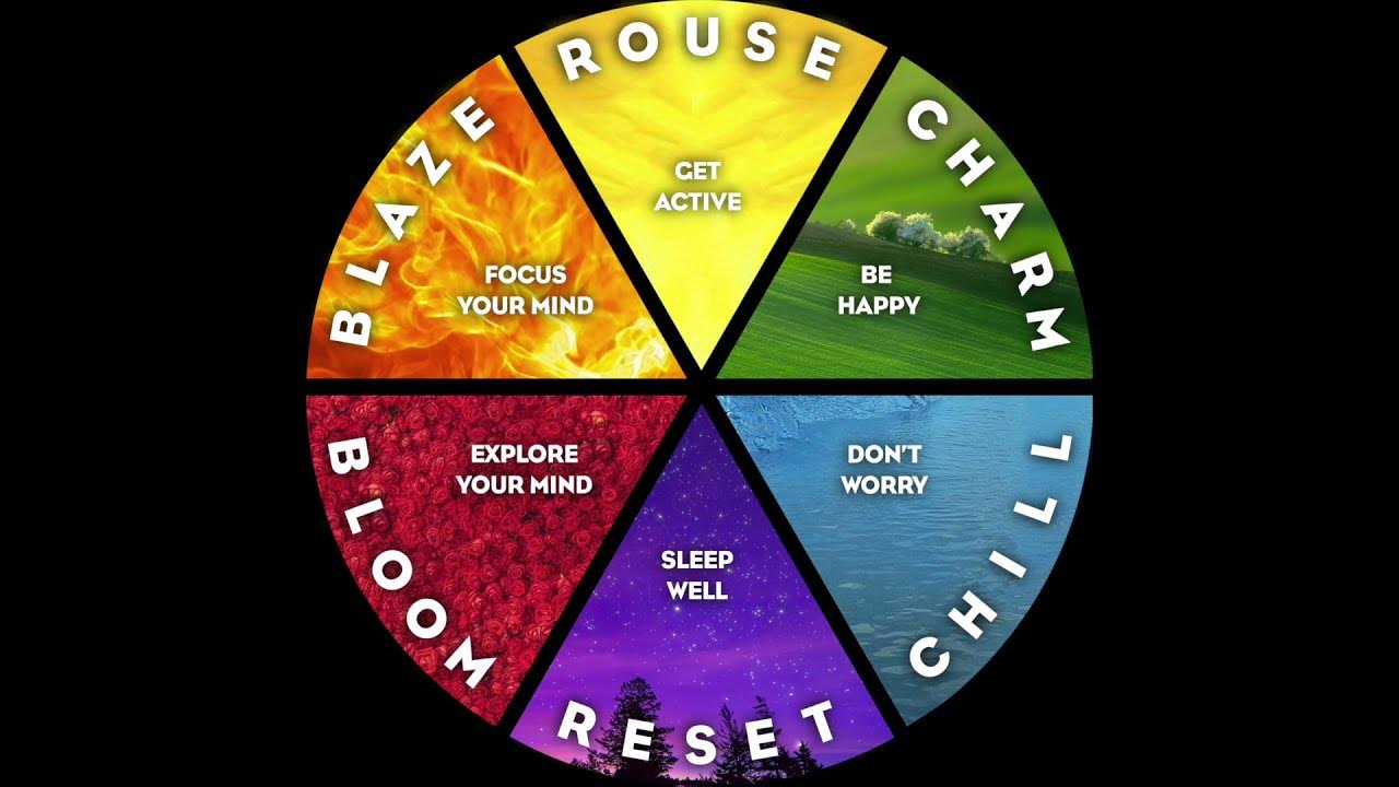 The Local Cannabist's TLC Effects Wheel YouTube