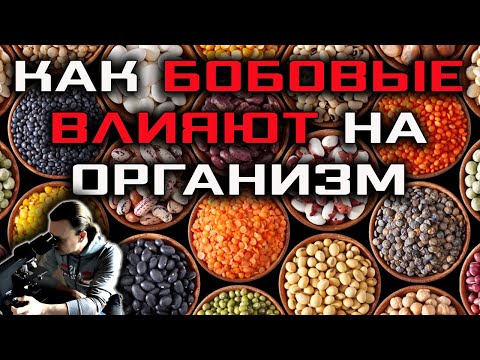 Как бобовые влияют на организм | Кровь после фасоли | Веганство, вегетарианство