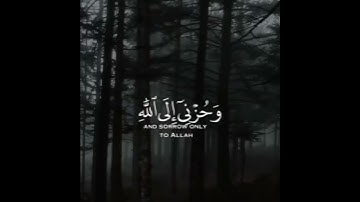 قال إنما أشكو بثي وحزني إلى الله وأعلم من الله ما لا تعلمون || القارئ مشاري فالح || سورة يوسف