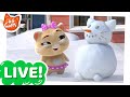 🔴 LIVE STREAM - 44 Gatti 🐱 | Le Buffyolimpiadi Invernali [EPISODIO COMPLETO]