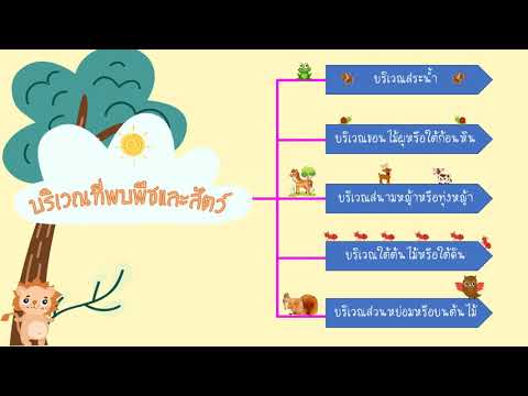 พืชและสัตว์ที่พบบริเวณสระน้ำ