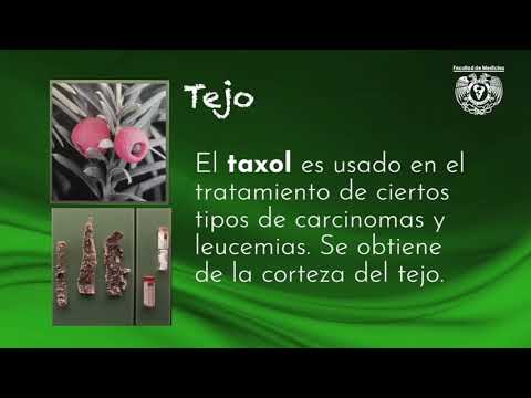 Vídeo: Prodigiosa Planta De Metilomas