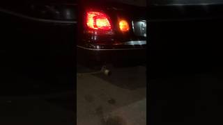 1999 Lexus Gs400 Reving Straight Piped