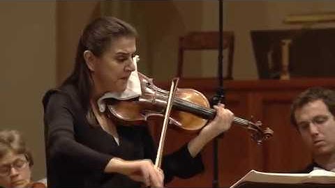 Michael Daugherty: FALLINGWATER for solo violin and strings–III.Prairie Psalm–NadjaSalernoSonnenberg