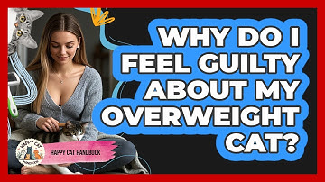 Why Do I Feel Guilty About My Overweight Cat? - Happy Cat Handbook