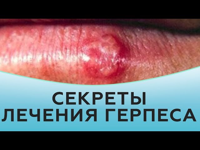 Оглавление