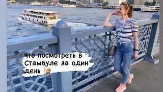 Один день в Стамбуле. Айя София, закат с Галатской башни  и ... конечно, котики #стамбул #турция