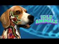 Idle Animals! Gameplay Walkthrough | Android Simulation Game