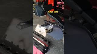 Mekik Çeken Kedi - Cat In Gym