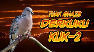 Derkuku Kuk 2 | Mitos dan tuah gaibnya bikin merinding