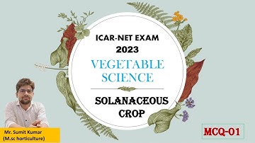 icar-asrb net/srf/A.O | vegetable science | solanaceous crop | MCQ-01 #icar_bhu_jrf_net  #icar