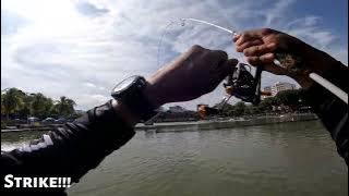 Crazy UL Session @ D'Best Fishing Pro Pond