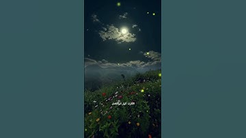 القرآن الكريم بصوت جميل جدا ومريح #اكتب_شي_تؤجر_عليه #انور_ابوالفضل