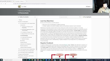 Ch 1 and 2 overview Openstax Anatomy