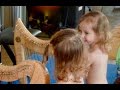 Double Strung Harp tutorial 48 - NEWBIES to harp!