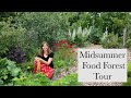 Midsummer Food Forest Tour - our permaculture plot at its most beautiful