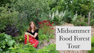 Midsummer Food Forest Tour - our permaculture plot at its most beautiful