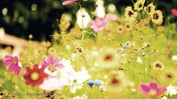 سورة يوسف للقارئ خالد القحطاني لعام 1434هـ