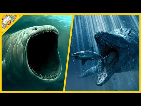 Video: Mořské příšery. Nejstrašnější monstra
