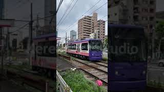 Kereta Api Tiktok - Syaikhona