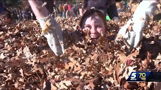 OSU students jump into giant leaf pile thanks to idea from landscaping crews