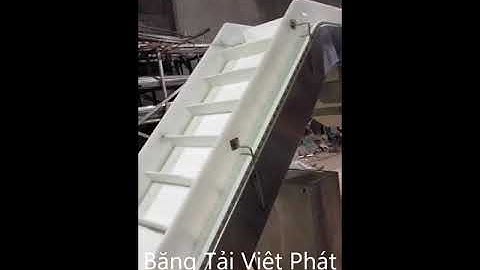 Băng tải nhựa lên dốc chữ Z có cánh gạt - Băng Tải Việt Phát