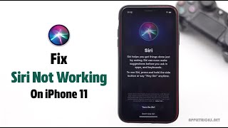 Siri Not Working on iPhone 11 (How to Fix)