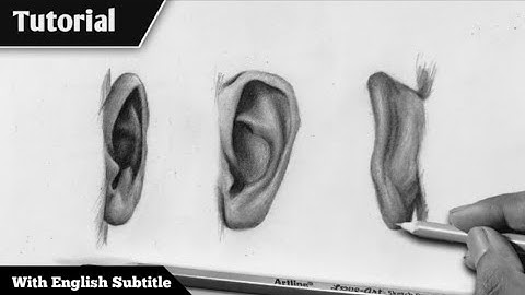 How to Draw Ear : Step by Step - Front, Side and Back view